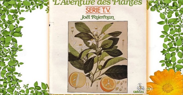 L'Aventure des Plantes