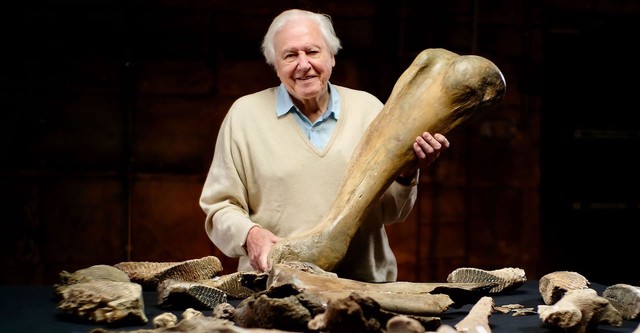 David Attenborough y el mamut prehistórico