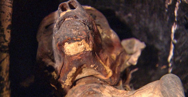 The Mysterious Mummified Dogs of Ancient Egypt