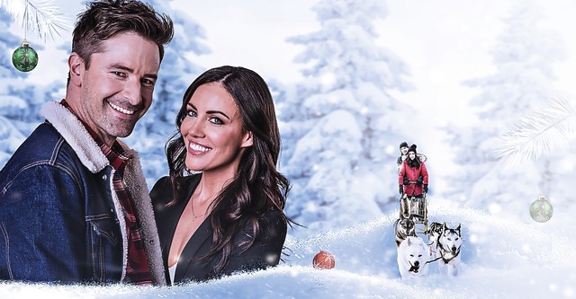 Gwiazdka z północnego nieba