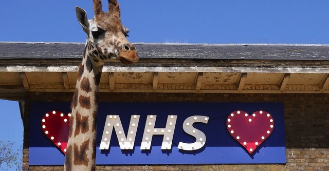 London Zoo: An Extraordinary Year