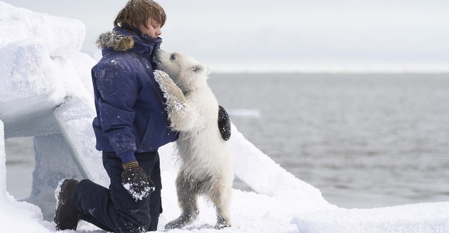 O Menino e o Urso