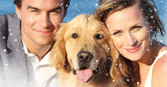 Noch eine tierische Bescherung