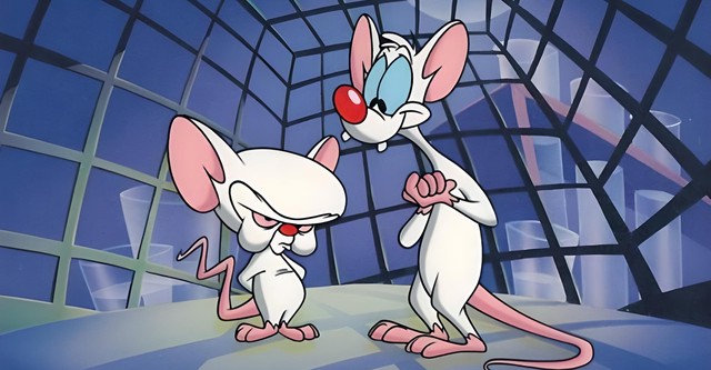 Pinky and the Brain