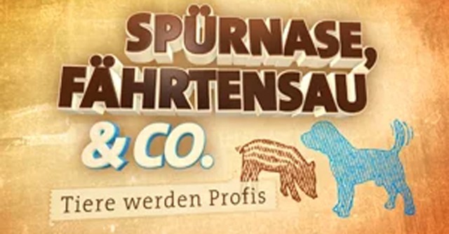 Spürnase, Fährtensau & Co.