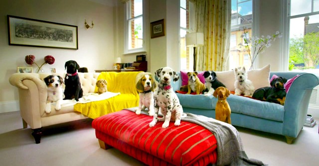 10 puppies and us watch online clearance