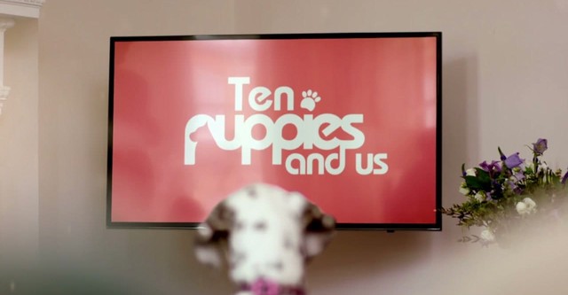 10 Puppies and Us - stream tv show online