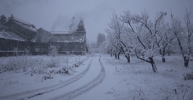 The Winter Garden's Tale