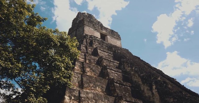 Maya: Ancient Metropolis