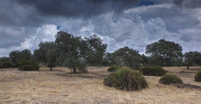 L'Espagne sauvage