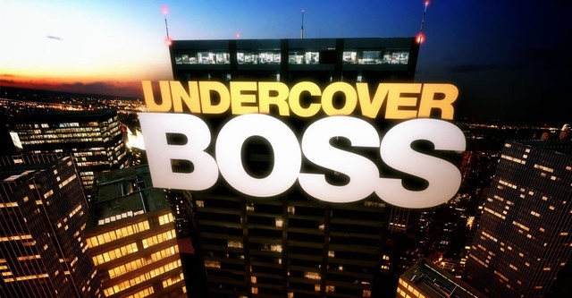 Undercover - streaming show online