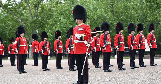 The Queen's Guards: A Year In Service