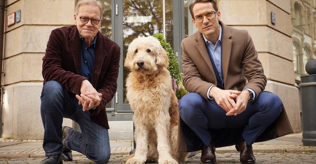 Freundschaft auf den zweiten Blick