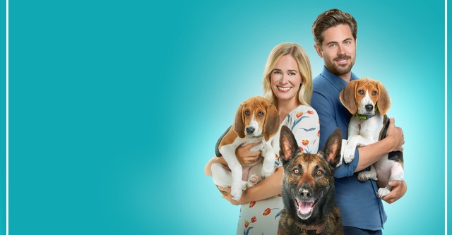 A Tail of Love movie: watch streaming online