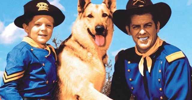 As Aventuras de Rin Tin Tin