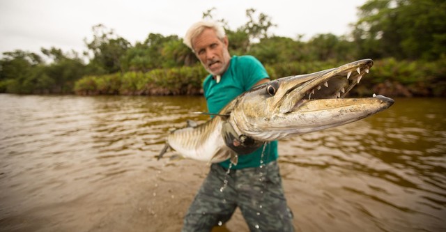 Fishing For Giants