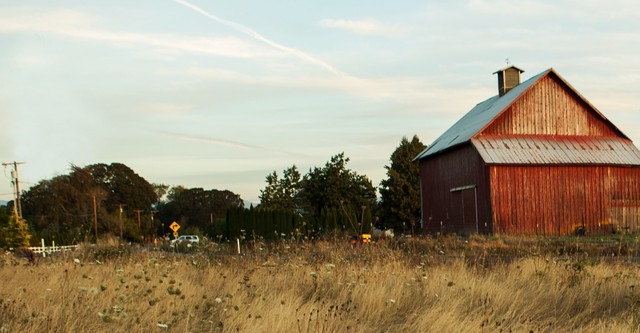 Farm Crime