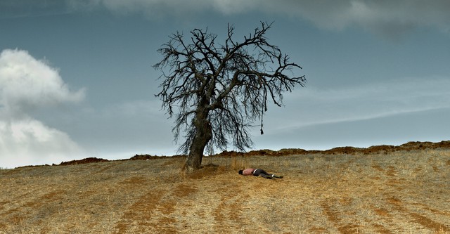 El árbol de peras silvestres