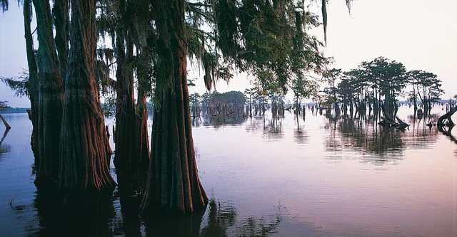 Earth's Great Rivers