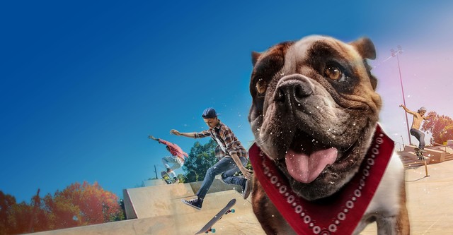 NASTYDOG SK8 Dog Coach