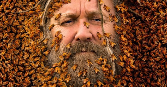 Bee Czar