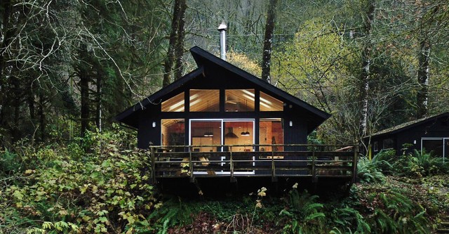 The Cabin Chronicles