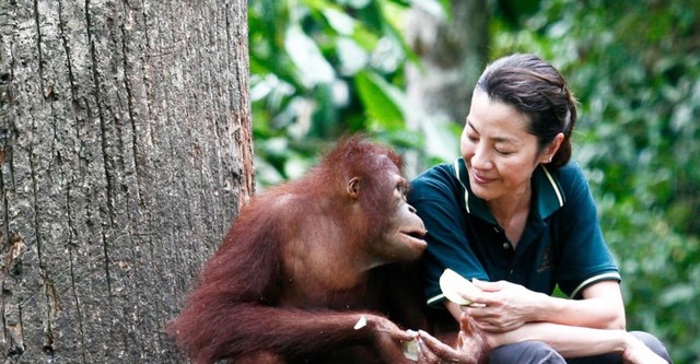 Among the Great Apes with Michelle Yeoh