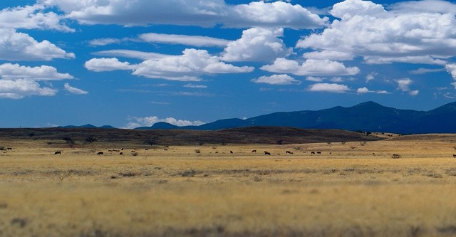 Building Off the Grid: Big Sky Ranch