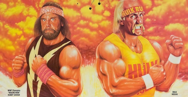 WWE WrestleMania V