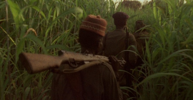 Concerning Violence