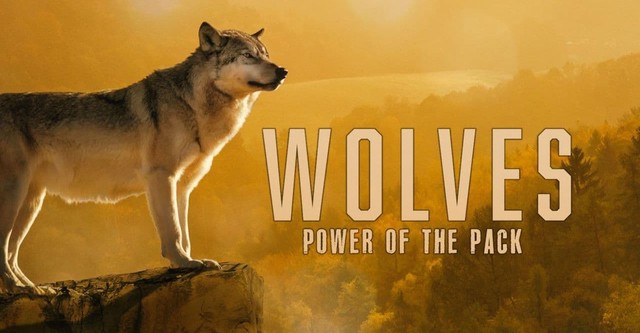 Wolves: Power of the Pack