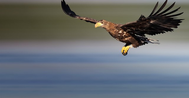 Europas verborgene Naturwunder