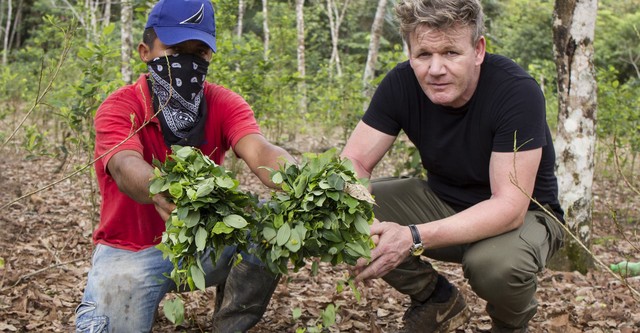 Gordon Ramsay on Cocaine