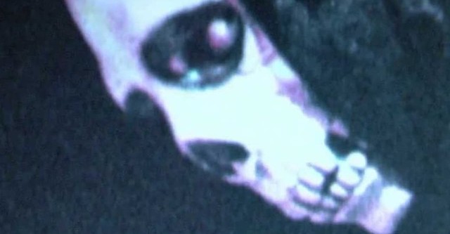 Mortal Remains