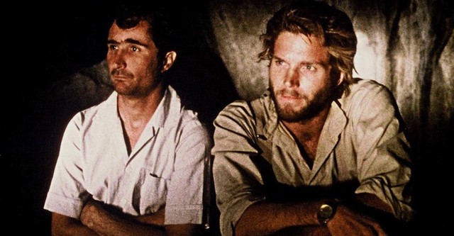 Cine, aspirinas y buitres