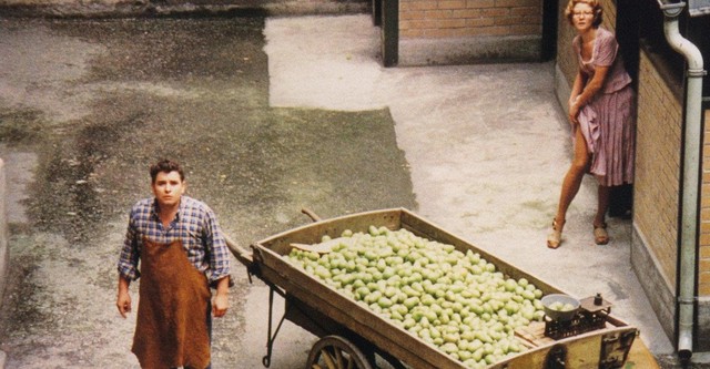 Il mercante delle quattro stagioni