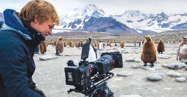 Wild Life with Bertie Gregory