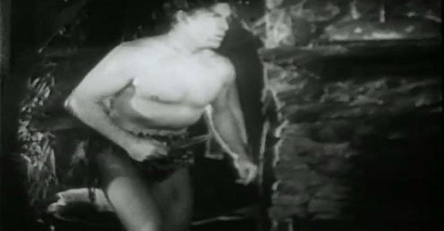 Tarzan, O Destemido