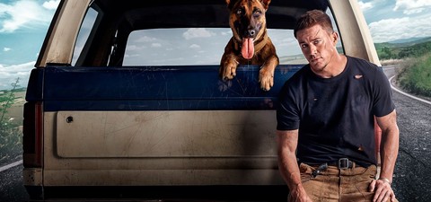 Las mejores películas de perros y dónde verlas online