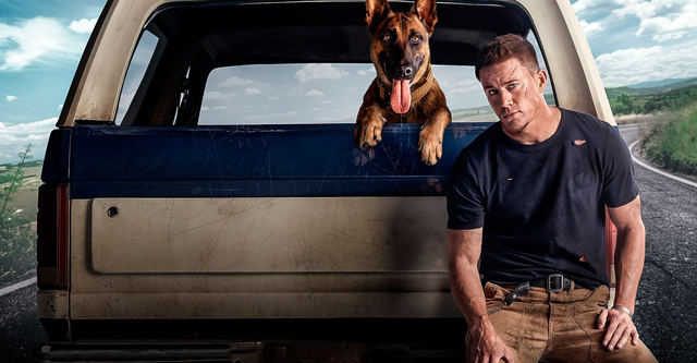 Las mejores películas de perros y dónde verlas online