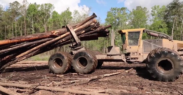 Holzfäller extrem