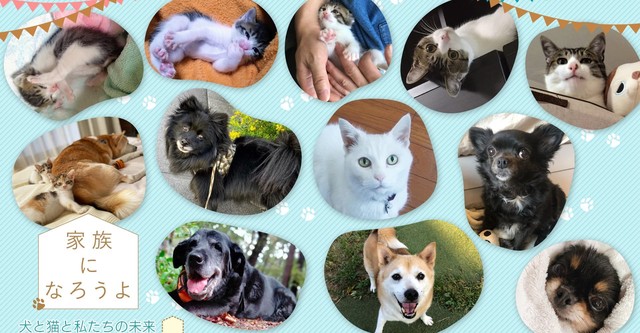 家族になろうよ