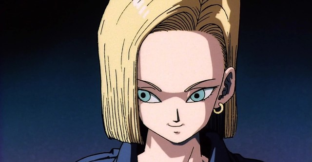 Dragon Ball Z: Super Android 13!