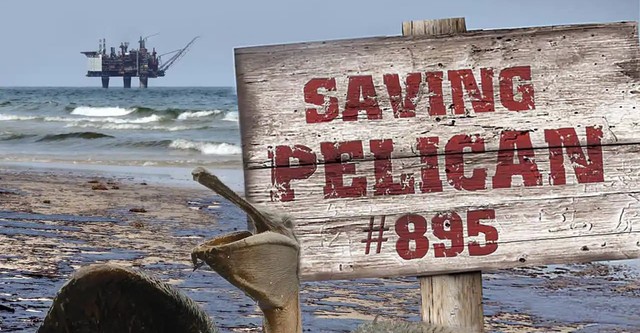 Saving Pelican 895