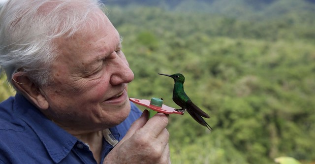 David Attenborough: la vita a colori