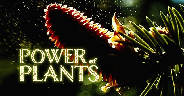 Power of Plants