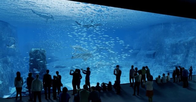 Nausicaa, le plus grand aquarium d'Europe