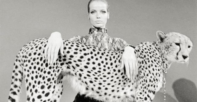 Veruschka - Poetry of a Woman