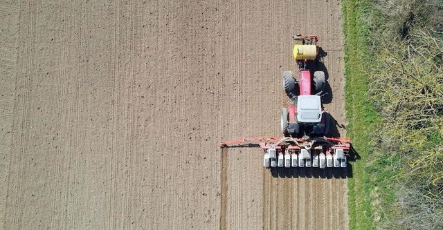 Insecticide - Comment l'agrochimie a tué les insectes