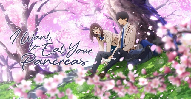 I Want to Eat Your Pancreas streaming online